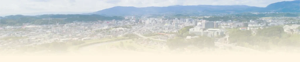 丘から見下ろした街並みの写真